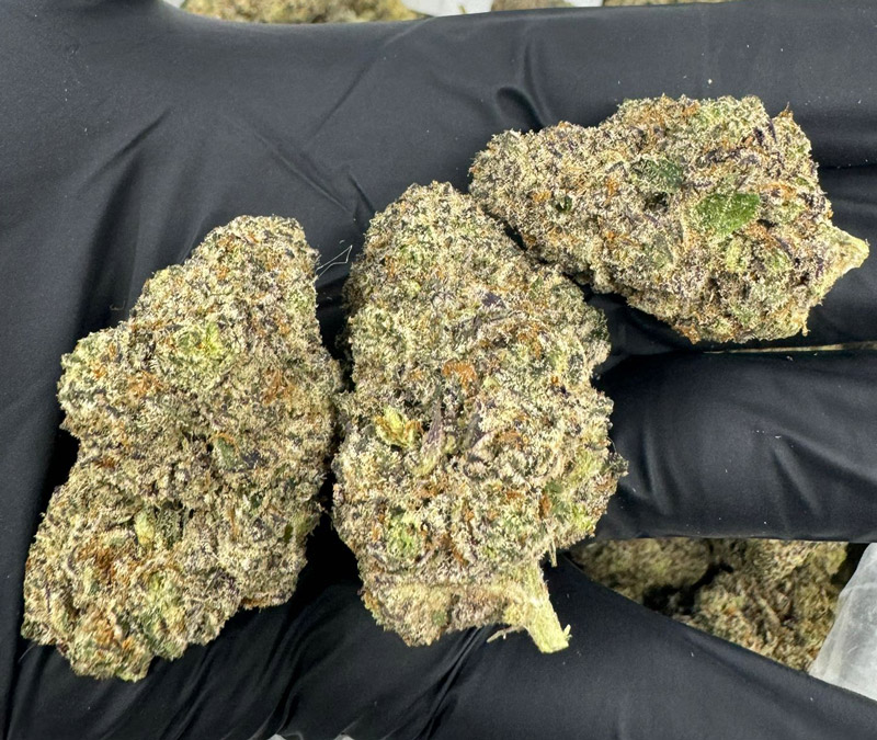 TWSYND's tweet image. Exotic THCA flower you do not want to miss out on texasweedsyndicate.com/exotic-thca-fl…
#thca #cannabis #thcaflower