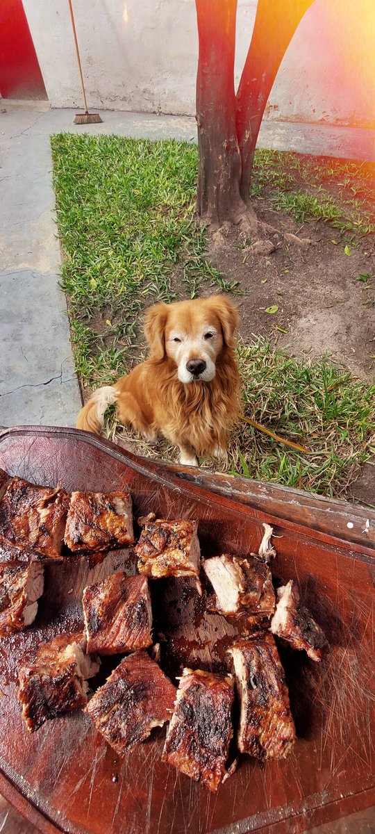 No me dijo feliz día ni me regaló nada pero con que siga siendo mi compañero de asado los domingos me alcanza. 🦁