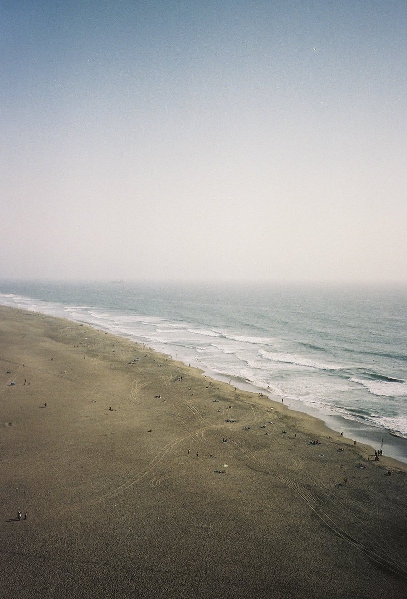 anthony lio tweet media