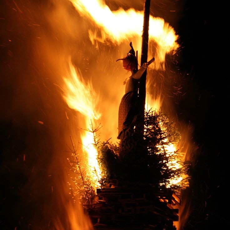 lucia_revi61297's tweet photo. How It feels to try to purge but nothing is Coming out https://t.co/e2l7b0hMvd