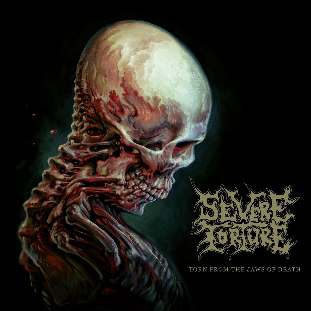 SEVERE TORTURE – TORN FROM THE JAWS OF DEATH
SBR REVIEW

screamblastrepeat.com/severe-torture…