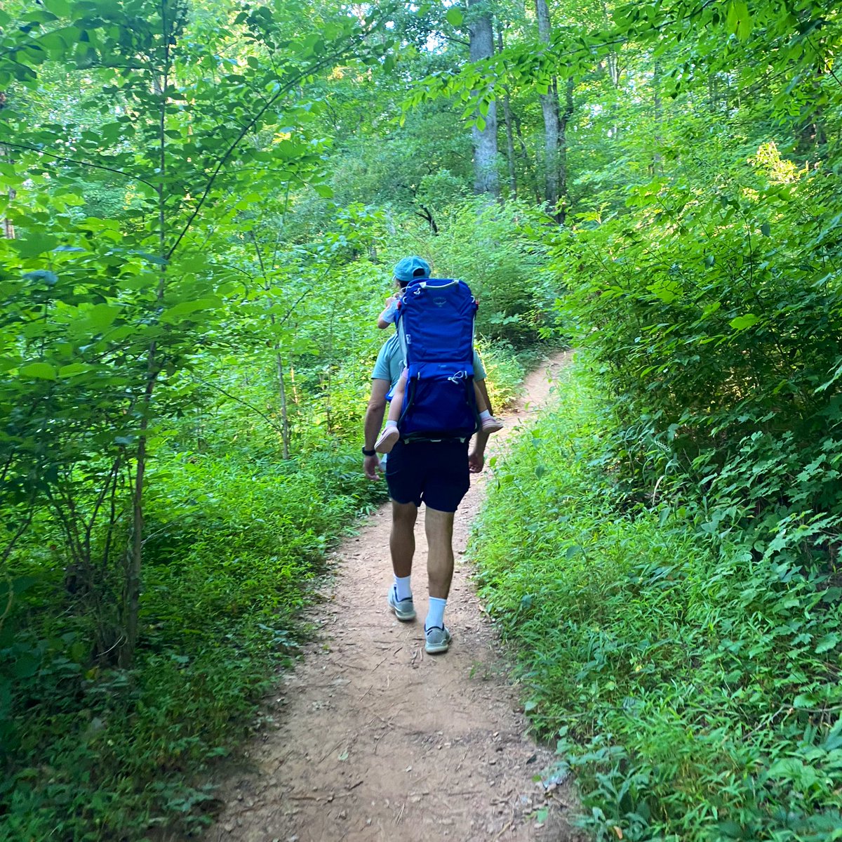 Katie Peralta Soloff tweet media