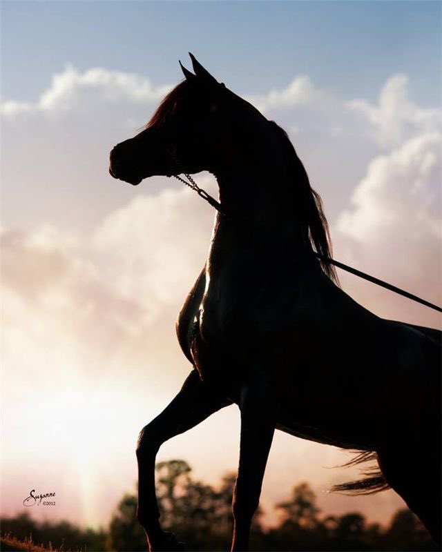 مسـاء الخيـر

تمطـر لغيـري مـن حنانك سحايب 
ويمـوت قلبـي بين أياديك عطشان 

ياااااااا .. 
حيّـف والله هههههههه