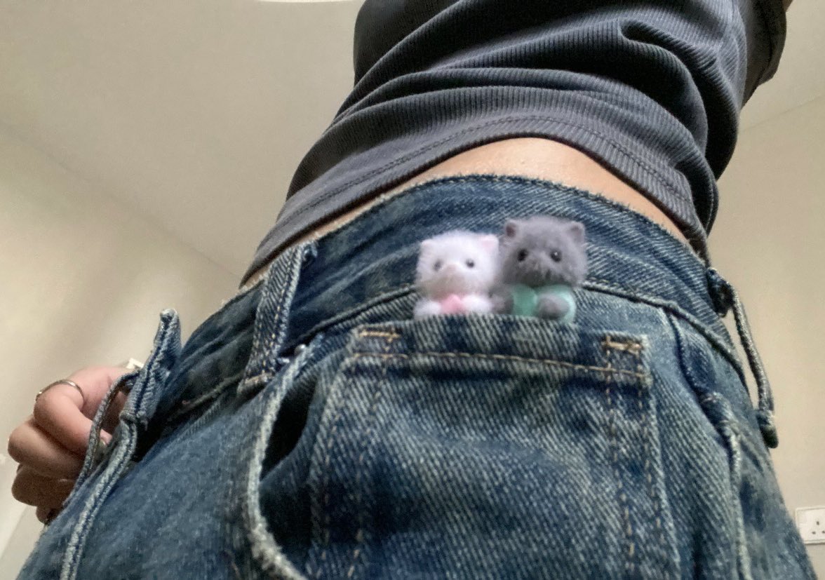 koi (@ikirutamenokoio) on Twitter photo 