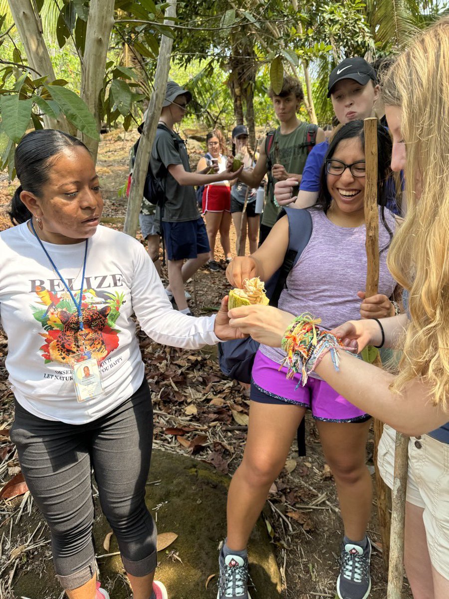 Laura Turngren tweet media