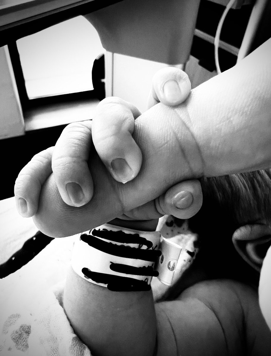 POLYGON1993■ tweet media