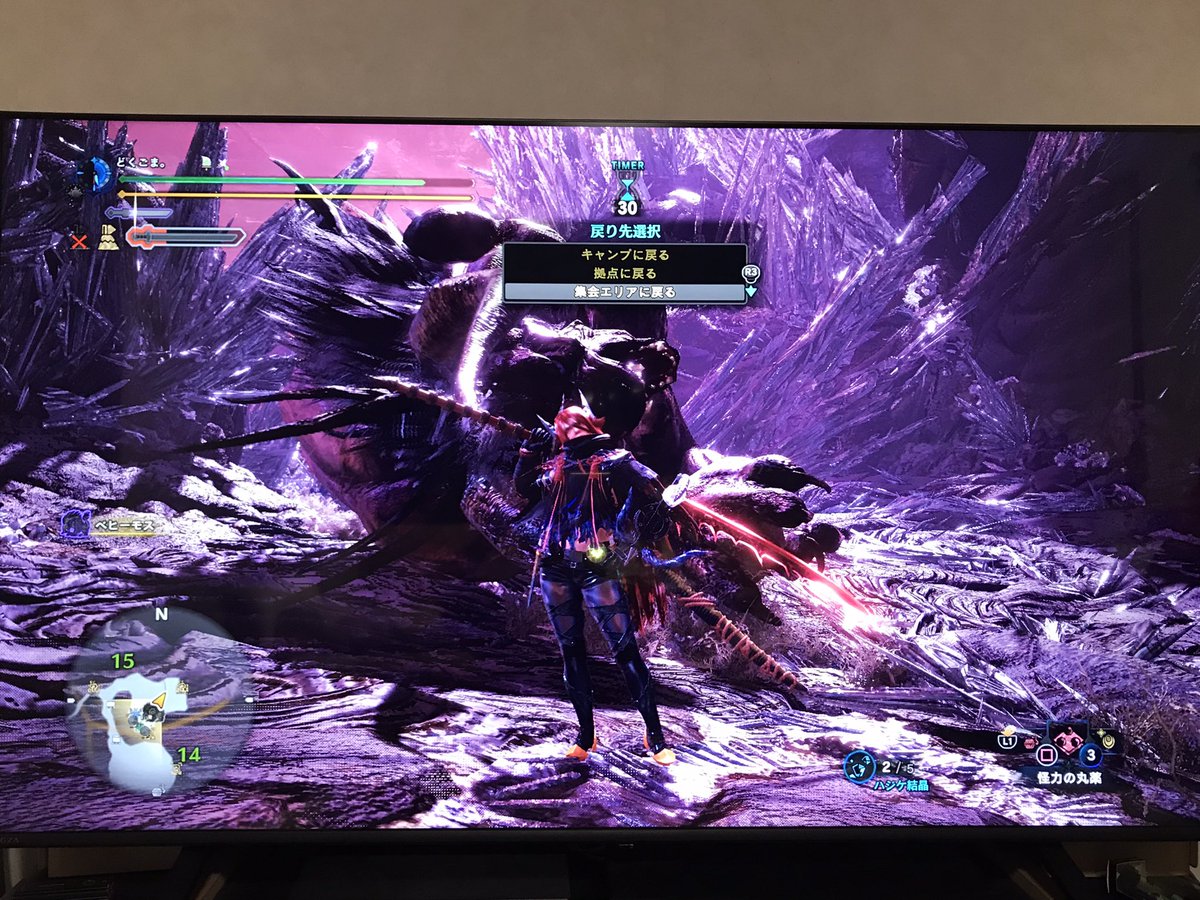 どくごま。 tweet media