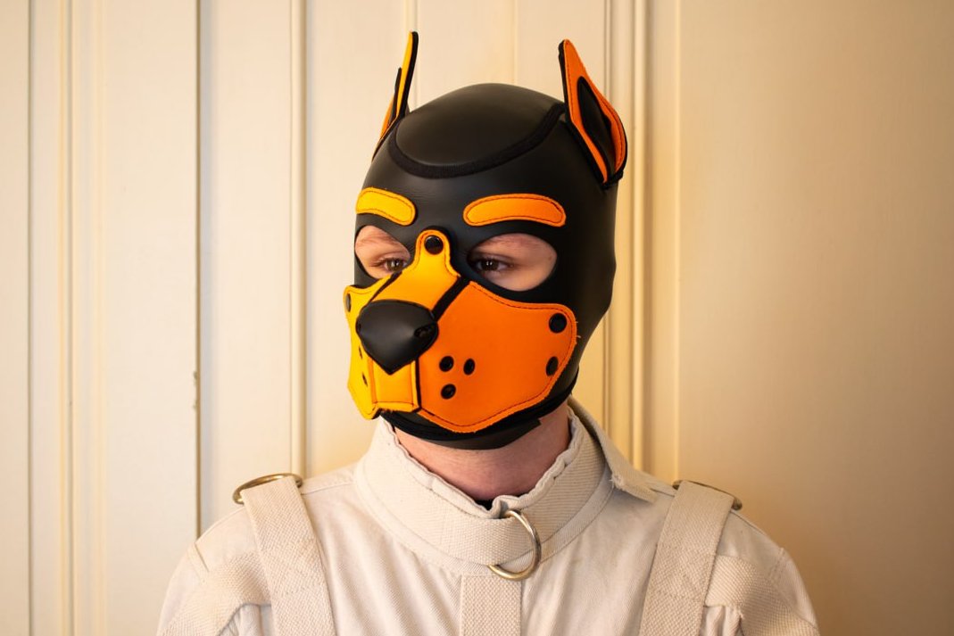 Squirrel ? 🐿️👀

📸 : <a href="/PupEir/">Pup Eir</a>