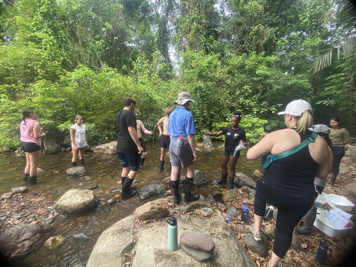 Laura Turngren tweet media