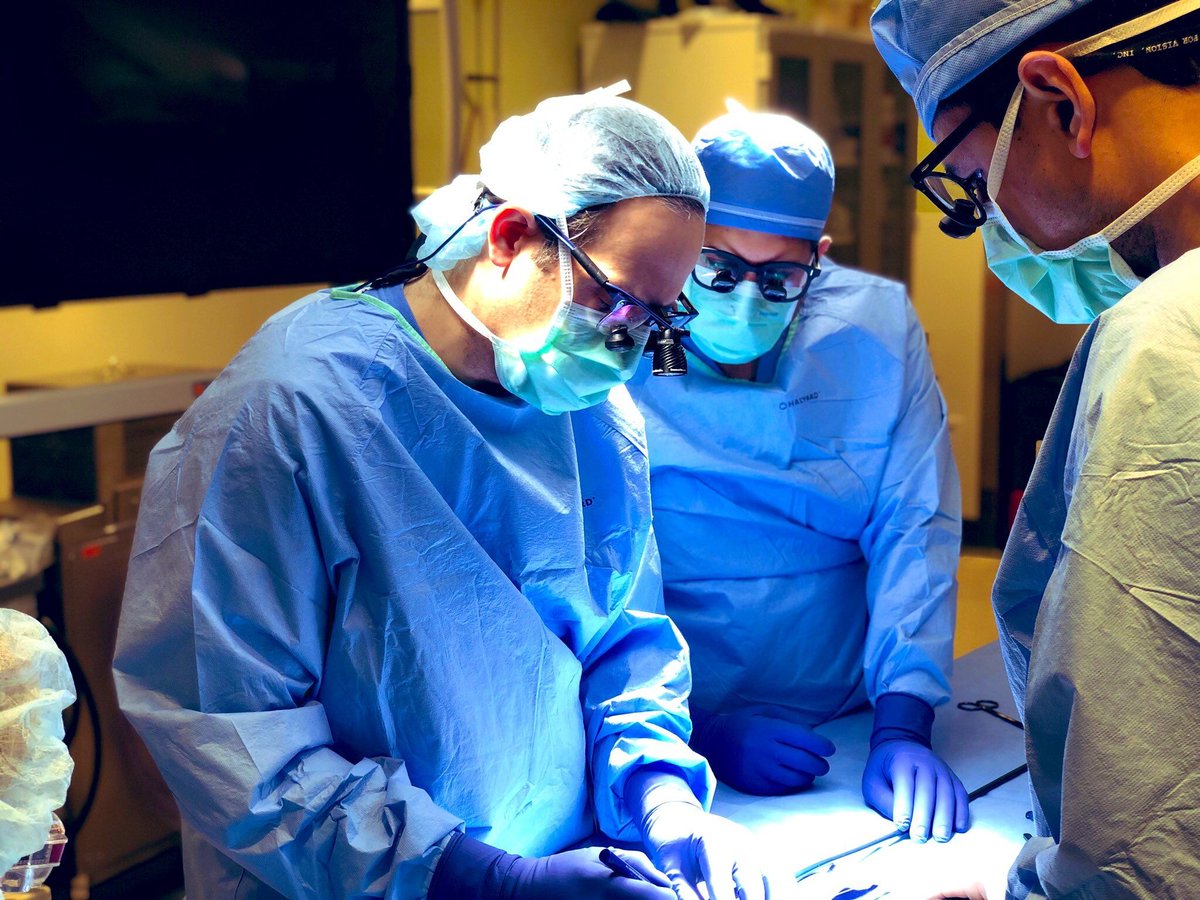Mayo Clinic Department of Surgery (@mayoclinicsurg) on Twitter photo Teamwork is key to the success of complex #vascular surgery. <a href="/MayoClinic/">Mayo Clinic</a>'s vascular and #endovascular surgeons provide coordinated and comprehensive treatment. Learn more: mayocl.in/3Xonsv6 Teamwork is key to the success of complex #vascular surgery. <a href="/MayoClinic/">Mayo Clinic</a>'s vascular and #endovascular surgeons provide coordinated and comprehensive treatment. Learn more: mayocl.in/3Xonsv6
