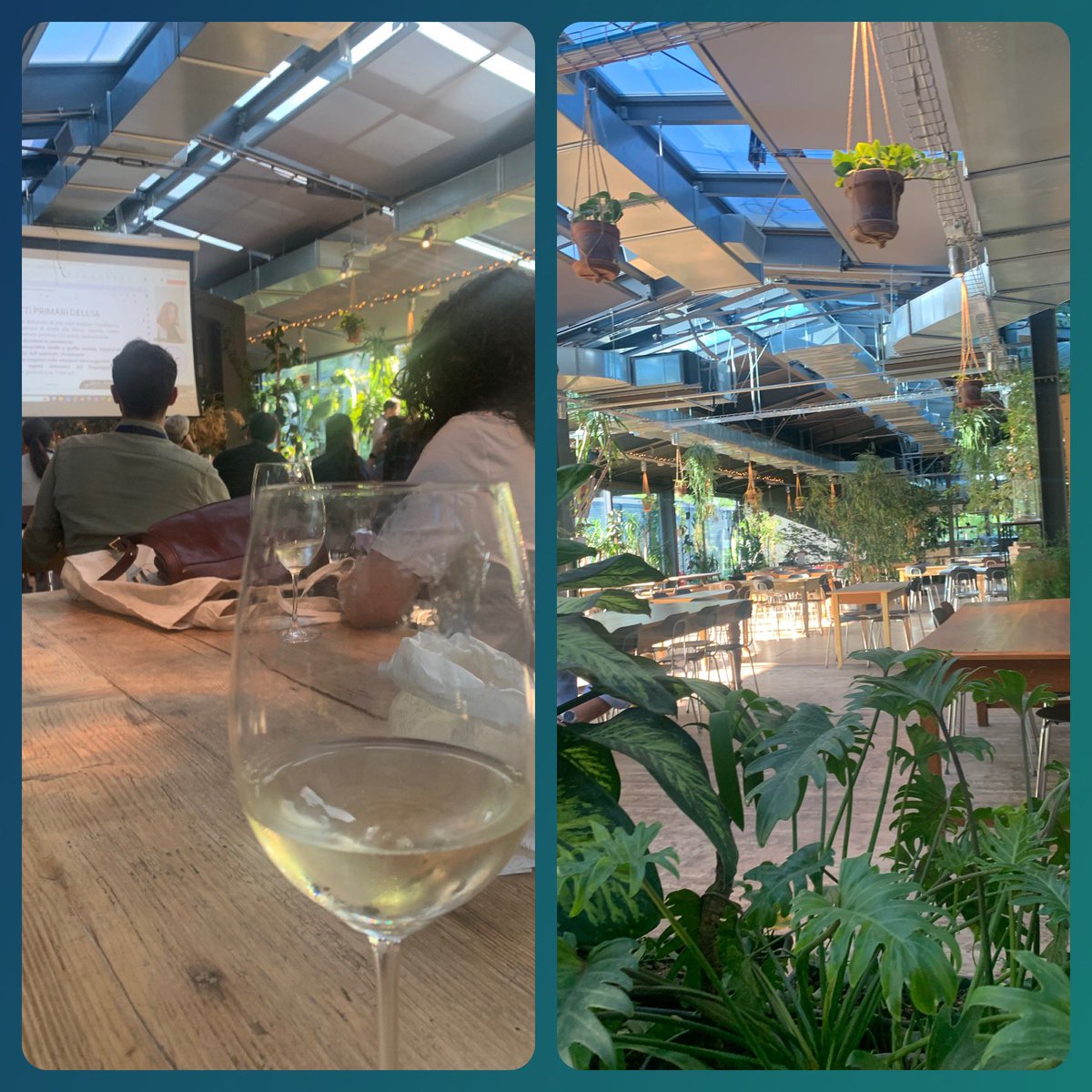 Chiara Cerami tweet media