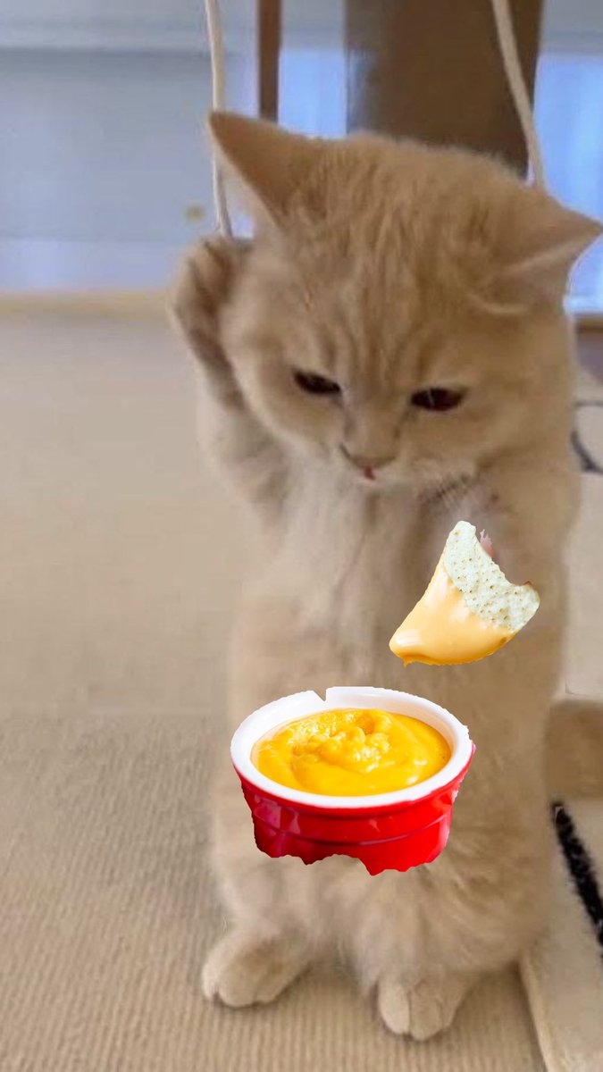 $KICHI loves eating dips