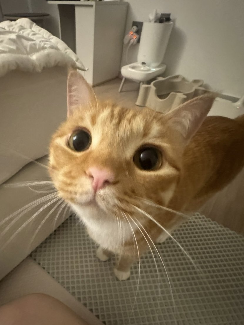 dongggeul's tweet image. (   빤히 ...   )                                  (   빤히 ...   )
                        (   빤히 ...   )