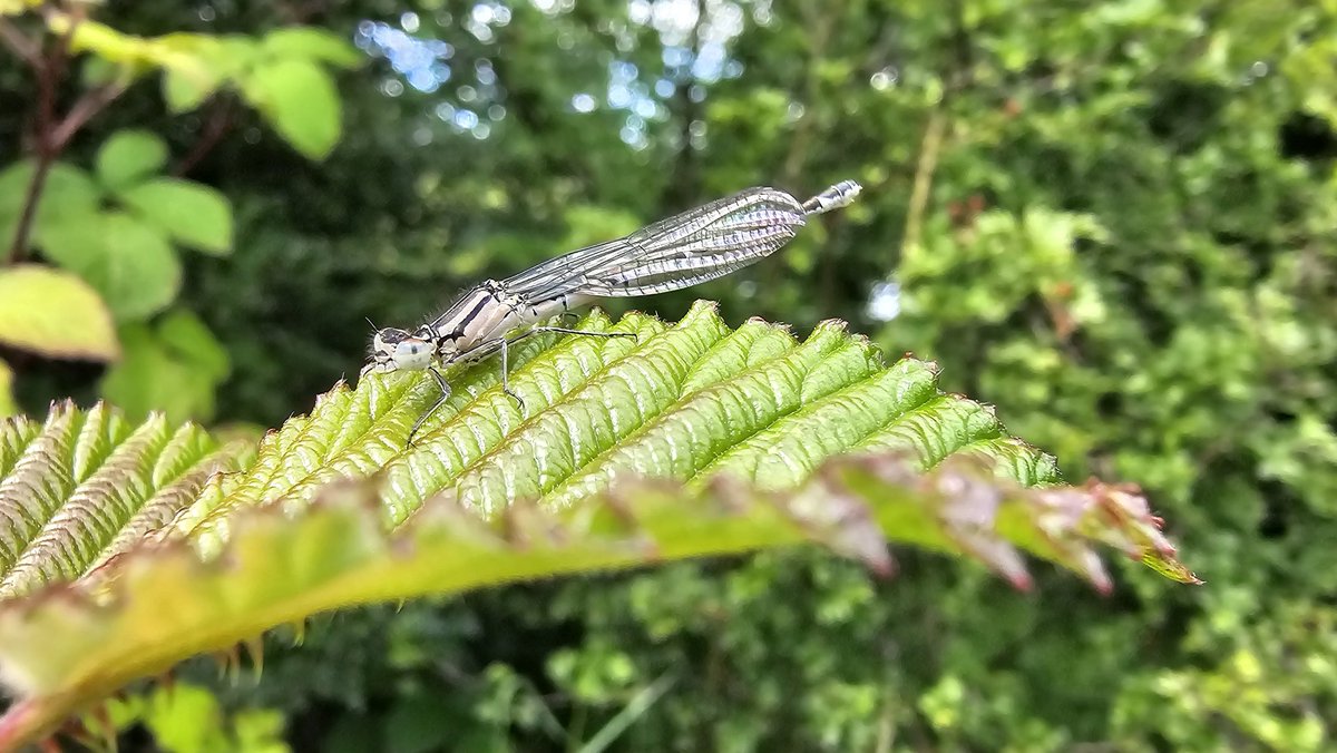 Beth Thomas tweet media