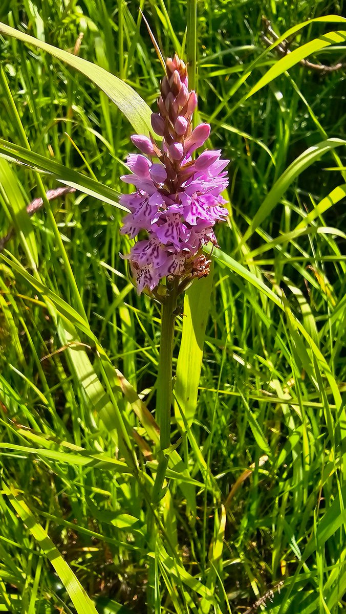 Beth Thomas tweet media