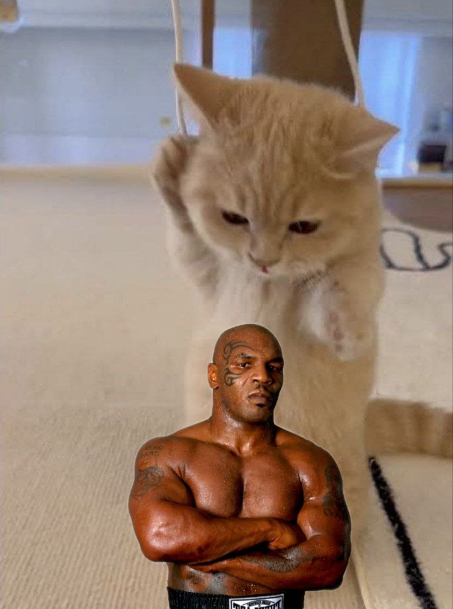 <a href="/NFTDEFILAND/">TATO</a> $kichi
$kichi wants power. 
he wanna be strong like Mike Tyson. 
he imagine that a muscular $kichi in mind. 
not bad!! 
one punch $kichi 

ca:6N43MrHhvApBsbfC3hmHvTE1YekEyQ2FY4nzKiGnpump
@kichicommunity