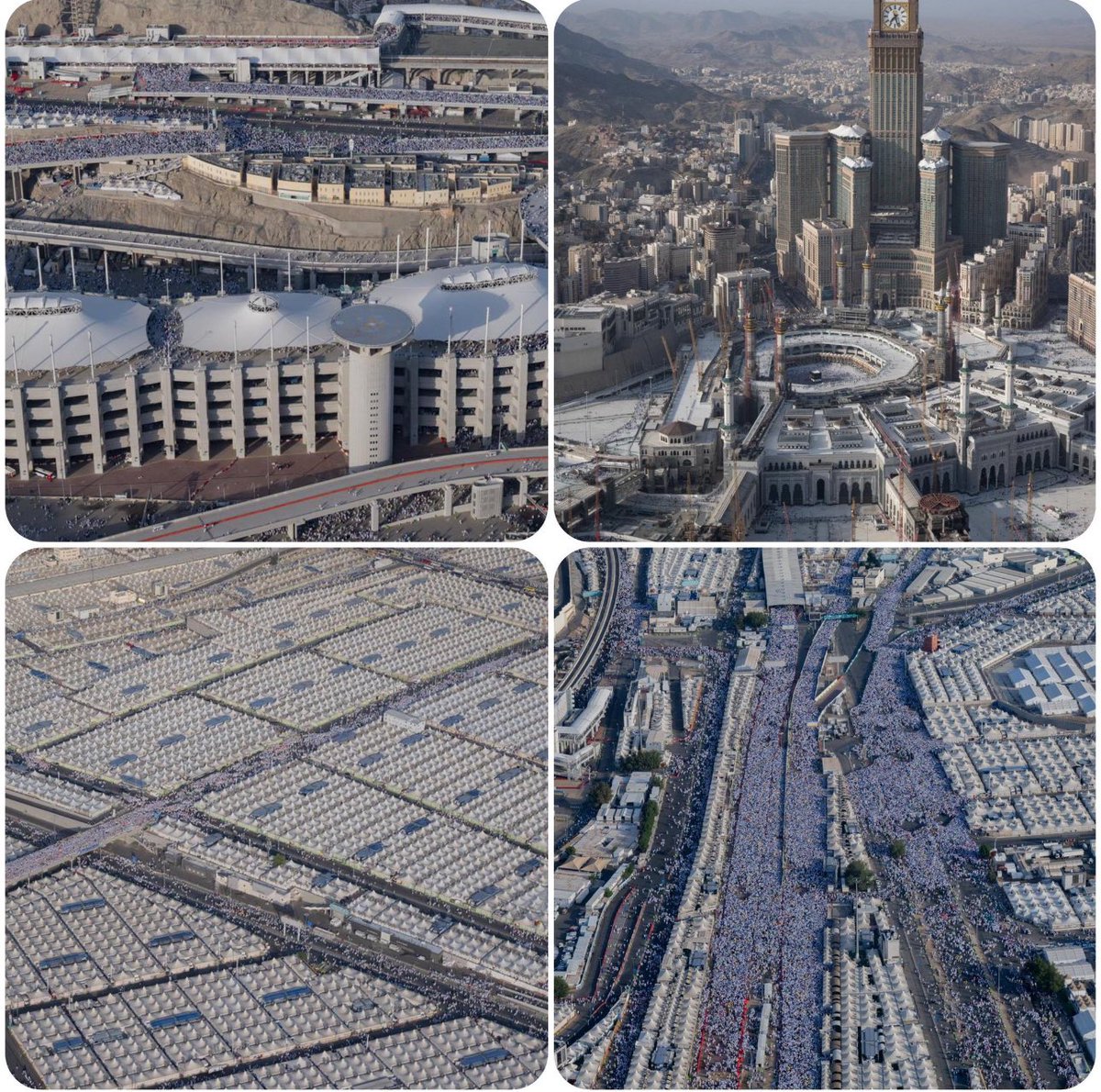 #الملك_سلمان_بن_عبدالعزيز_آل_سعود 
#ولي_العهد_الامير_محمد_بن_سلمان‌ 

أبارك لمولاي والدنا خادم الحرمين الشريفين وسمو سيدي ولي العهد الأمين بحلول عيد الأضحي المبارك وابارك وافتخر بالنجاح الباهر الذي تحقق لموسم الحج لهذا العام بتوفيق الله ثم بجهود الجهات المشاركة العسكريه والمدنيه