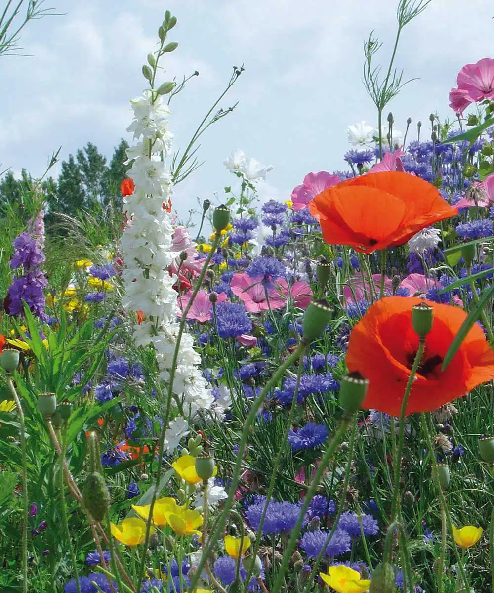 Wer will mitmachen?
Danke, <a href="/lgewessler/">Leonore Gewessler</a> !