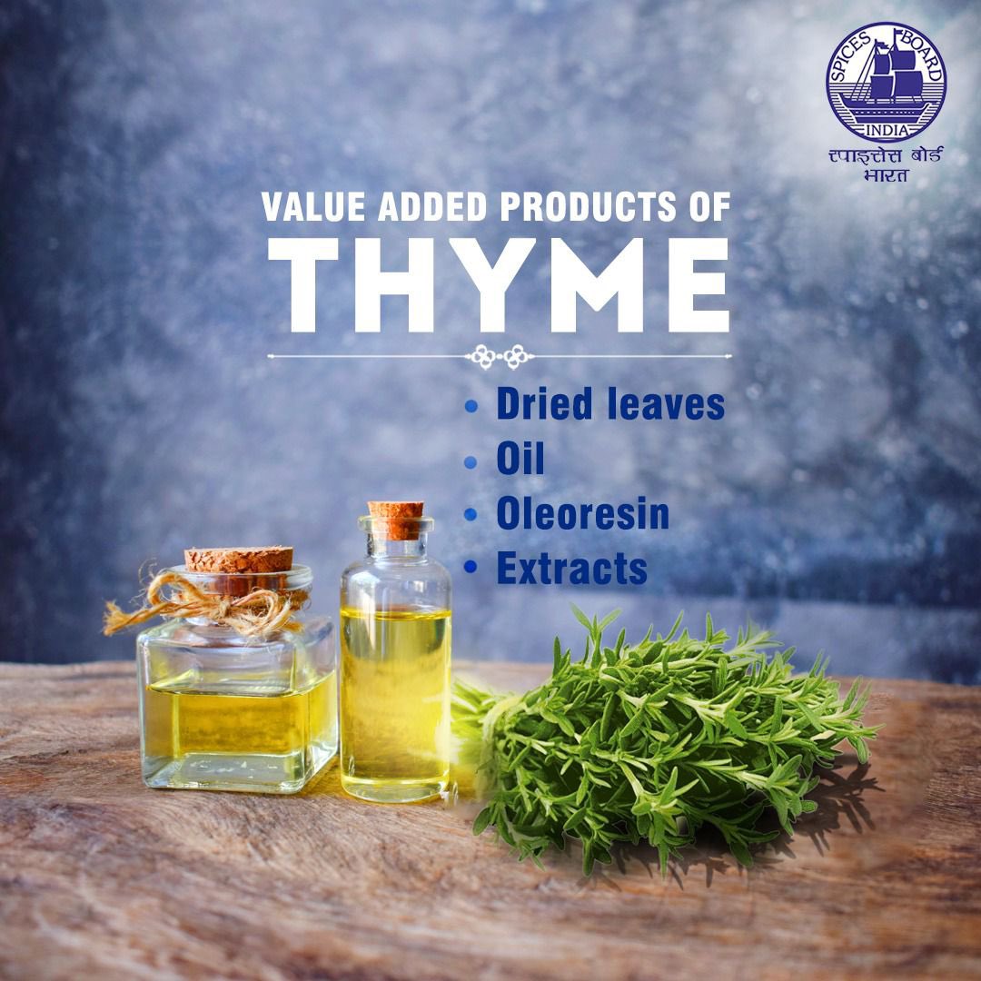Spices_Board's tweet image. From aromatic oils to potent extracts, explore the diverse array of value-added products derived from this versatile herb
@DoC_GoI 
#spicesboard #thyme #incrediblespicesofindia