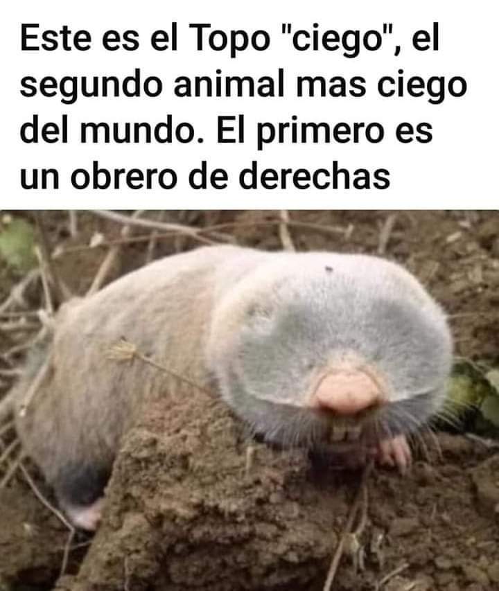 Andaluz (@jovenandaluz) on Twitter photo 