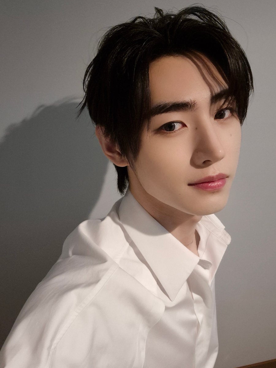 ENHYPEN WEVERSE tweet media