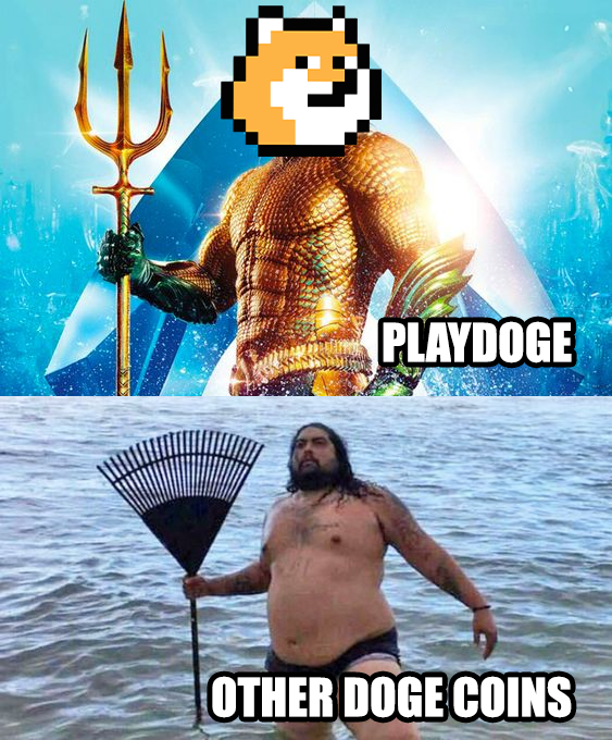 It’s either #PlayDoge, or ur NGMI 🚀💥

#Presale #MemeCoin #P2E