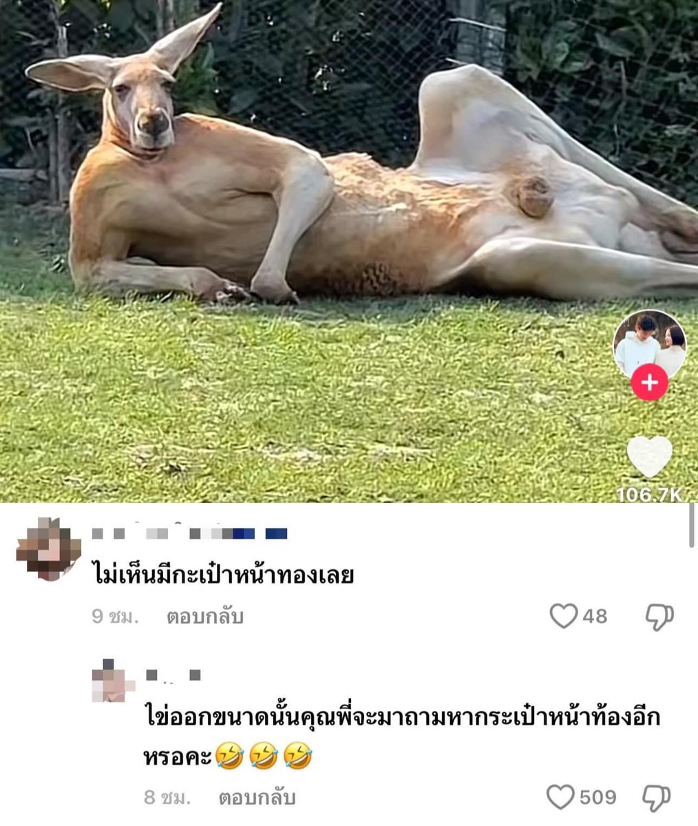 โจ้ : เอาที่สุดสบายใจเล้ยย //นอนแผ่