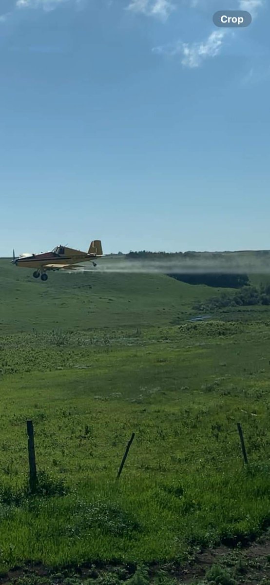 As the warm weather starts settling in we see different bugs and insects coming out. This past week we started spraying for ticks, mosquitoes, aphids, and spider mites. If you are in the area and are interested let us know.