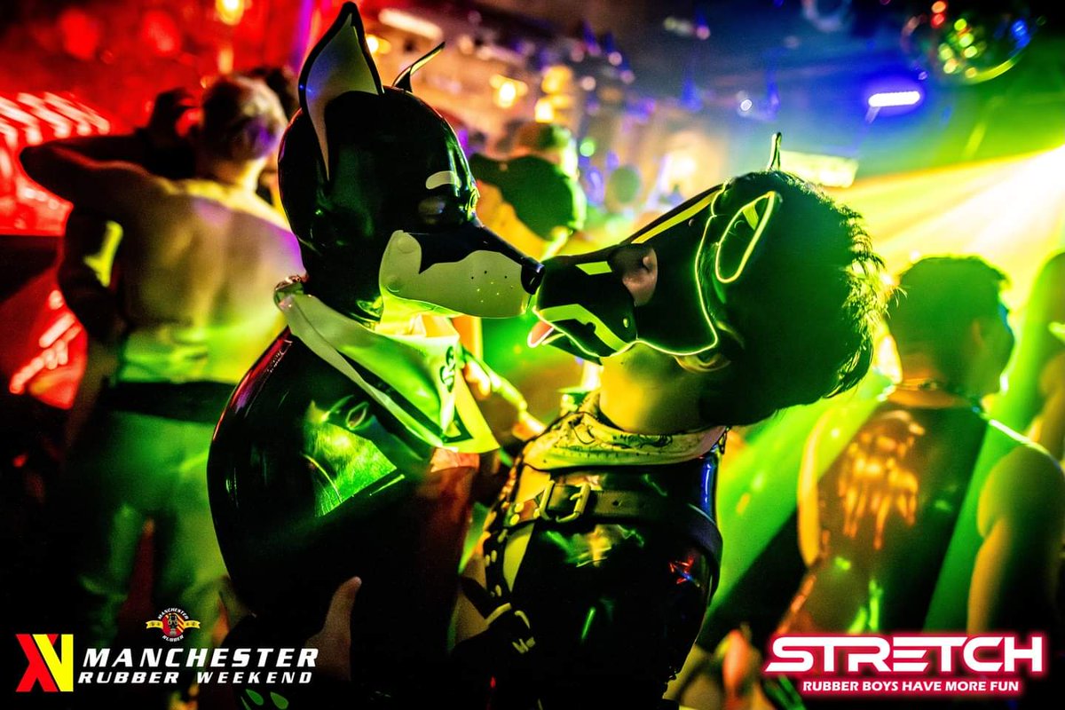 Boopin' snoots with <a href="/PupScreen/">Screen_</a> over MRM