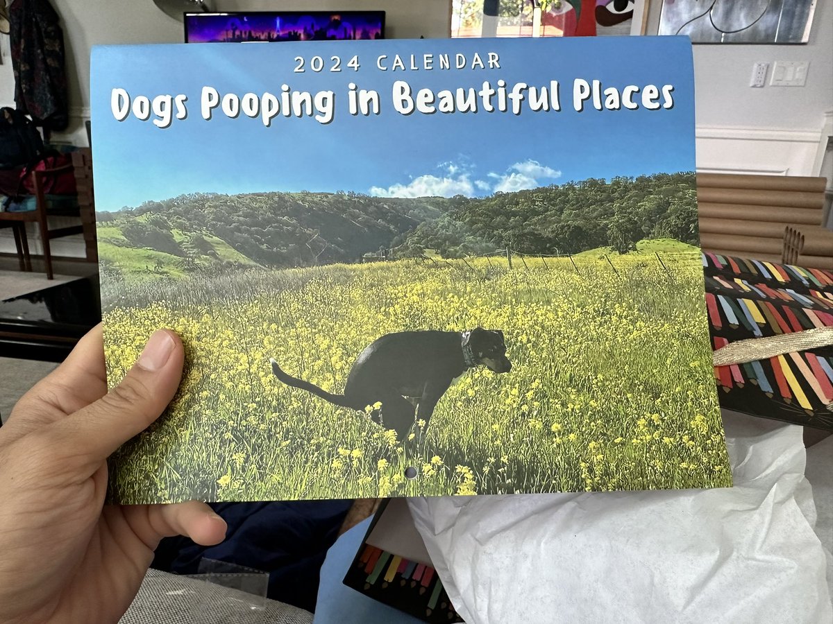 I asked for a nature-inspired gift for Father’s Day…