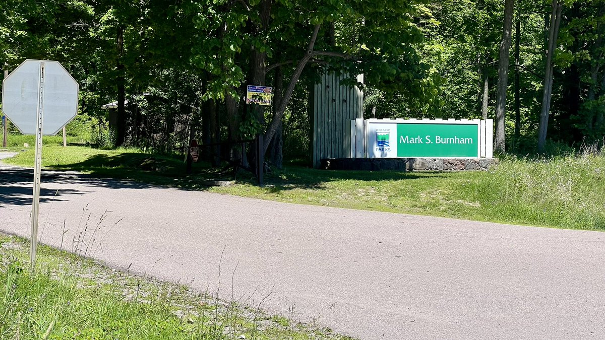 Zach 🚏🚌 tweet media