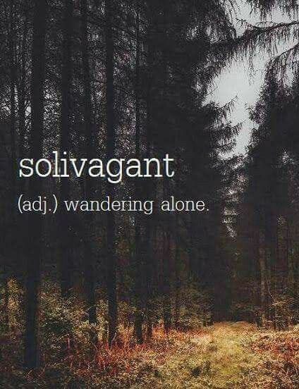 wordsporn's tweet photo. Solivagant https://t.co/QqGGbZOFYH