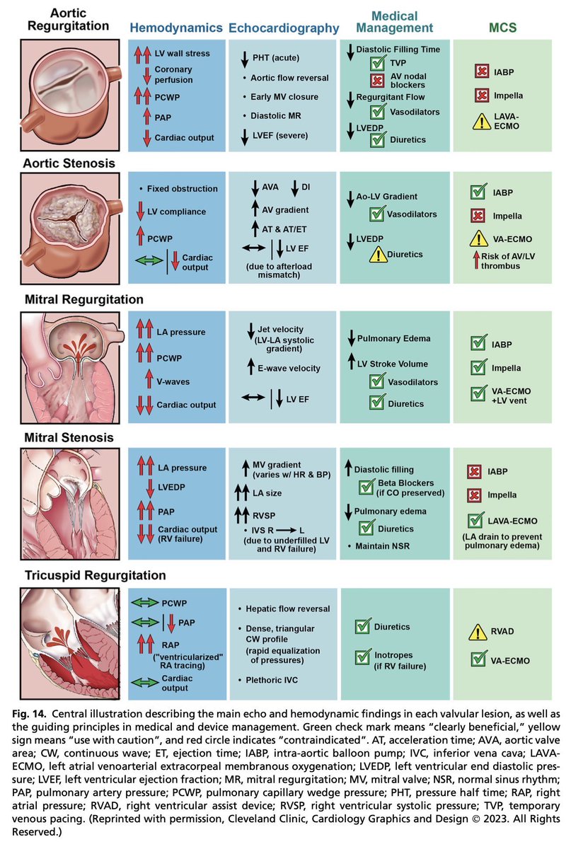 Valvular heart disease !!