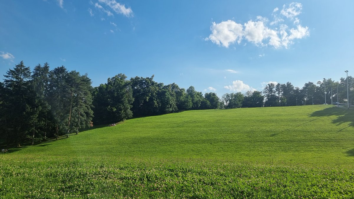 bre_jew's tweet image. Go outside,  touch the grass. 

Crypto &apos;day off&apos; for me
(not for $EWT #workerNodes which are working and earning 24/7 +30% APY)