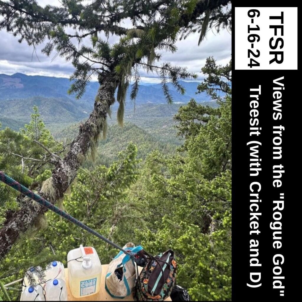 sorisingtide's tweet image. Check out this podcast interview with treesitters and organizers blocking logging in so-called Southern Oregon. #ForestDefense

thefinalstrawradio.noblogs.org/post/2024/06/1…