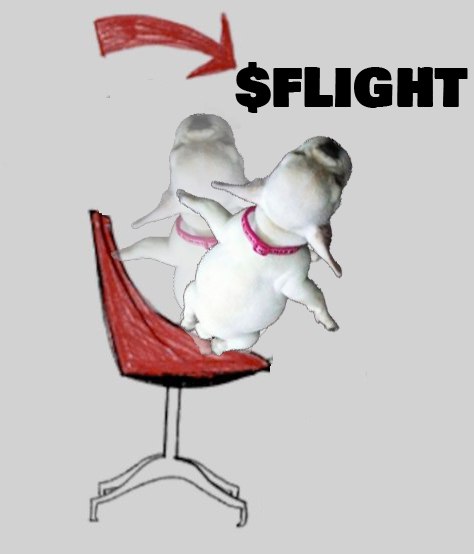 Locked in, born to fly. $flight