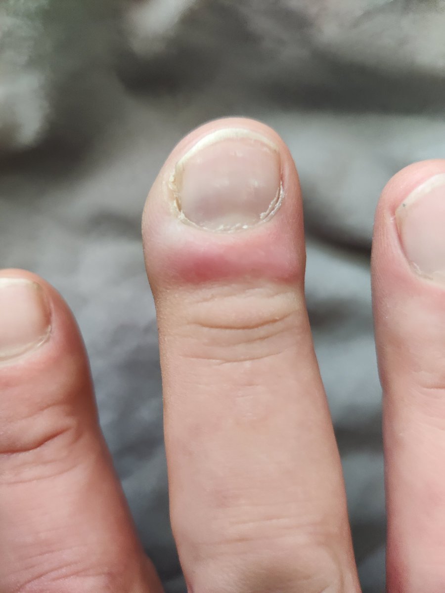 Grrrrranosaurus Dex tweet media