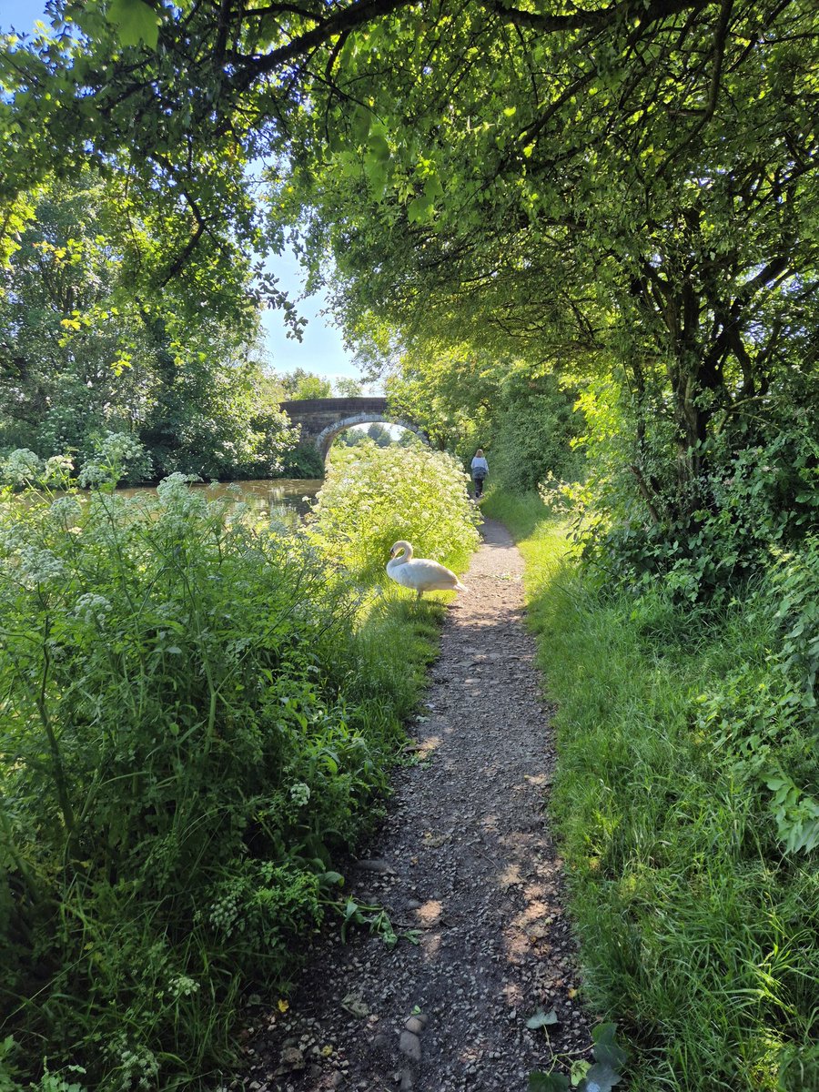 AdlingtonBeerCircular tweet media