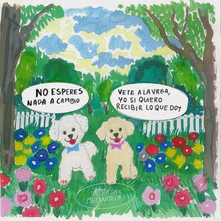 Absurda Melancolía (@absurdamela) on Twitter photo 
