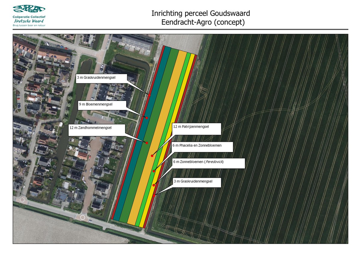 Mooi initiatief van #CCHW en samenwerkende akkerbouwers om bij Goudswaard een perceel van gemeente Hoeksche Waard in te richten met verschillende soorten akkerranden. Rietgors participeert hier ook in.