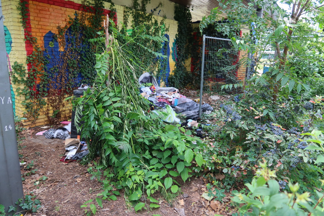 LuisenstadtF's tweet photo. #LausitzerPlatz, zuständig @BA_Mitte_Berlin. Bekannte Situation. Auch aus dem letzten Jahr. #Obdachlose, #Ansiedlung, #Vermüllung. Vielen von denen sind #Messis. Das Ergebnis sind dann #Müllberge. https://t.co/TZ8r6xQHCt