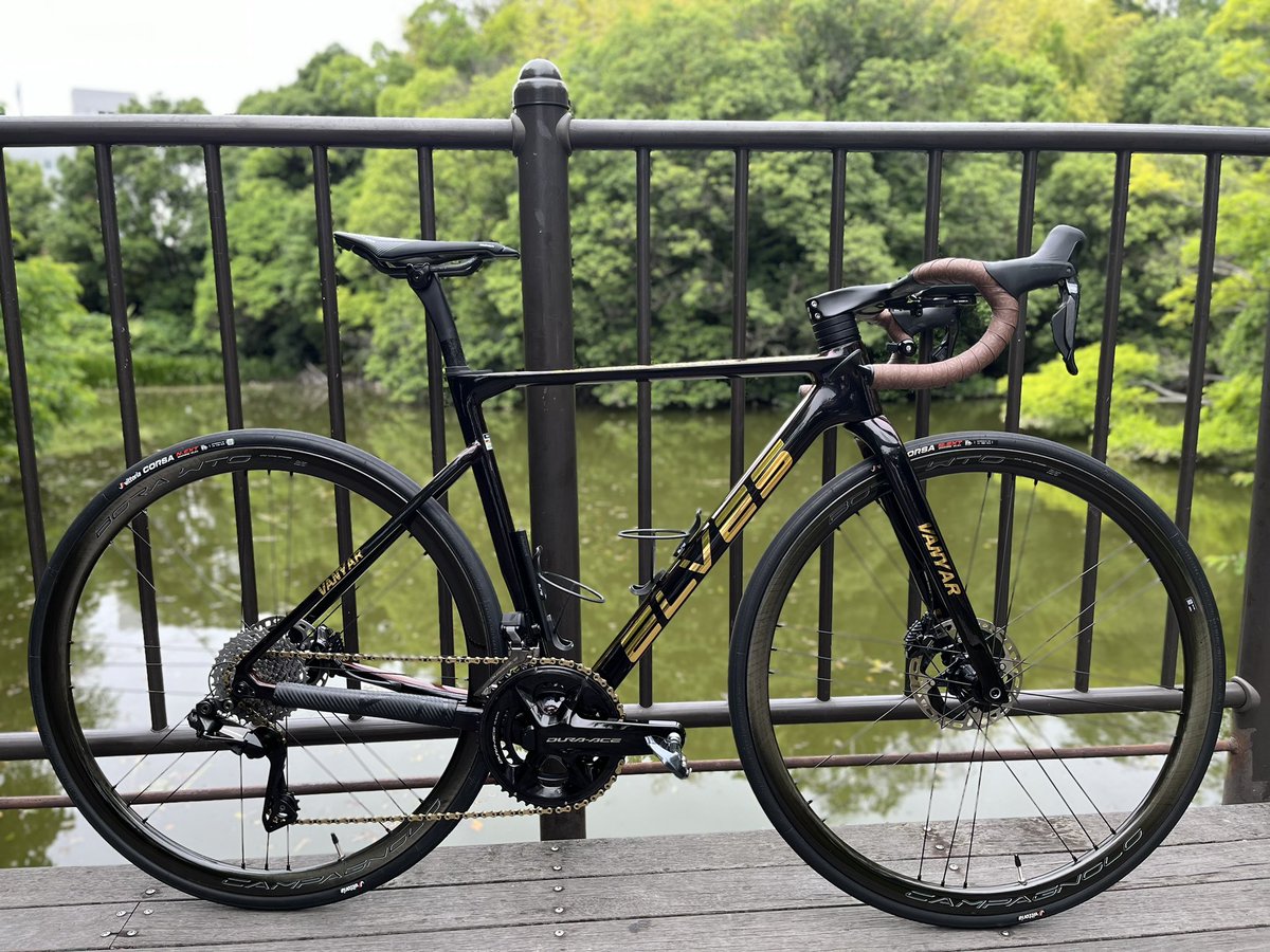 Elves Vanyar ProもVanyarリムブレーキモデルと同じカメレオンブラック 