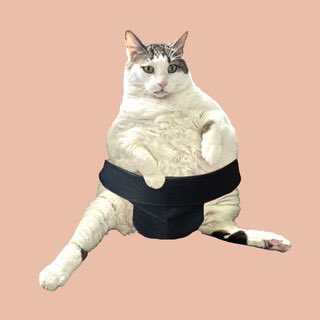 <a href="/0xWinged/">0xWinged 💫</a> $SUCO waiting for you Winged

t.me/SUCO_CTO