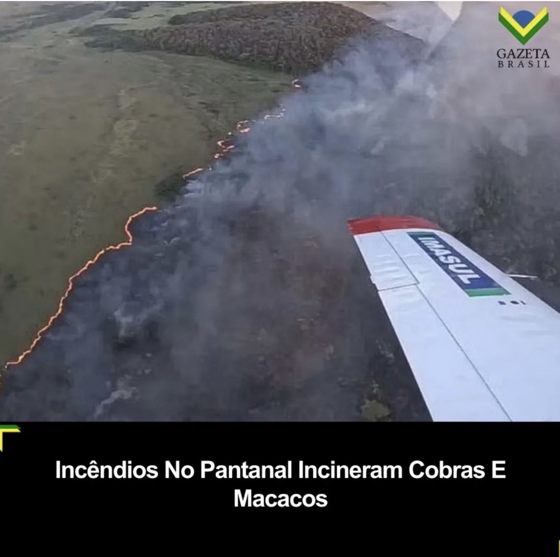 jairbolsonaro's tweet photo. - SE ALGUÉM AINDA ACHA QUE O PRINCIPAL INTERESSE É O MEIO AMBIENTE, MUITO ILUDIDO ESTÁ! 💰 https://t.co/IRaQKxO19D