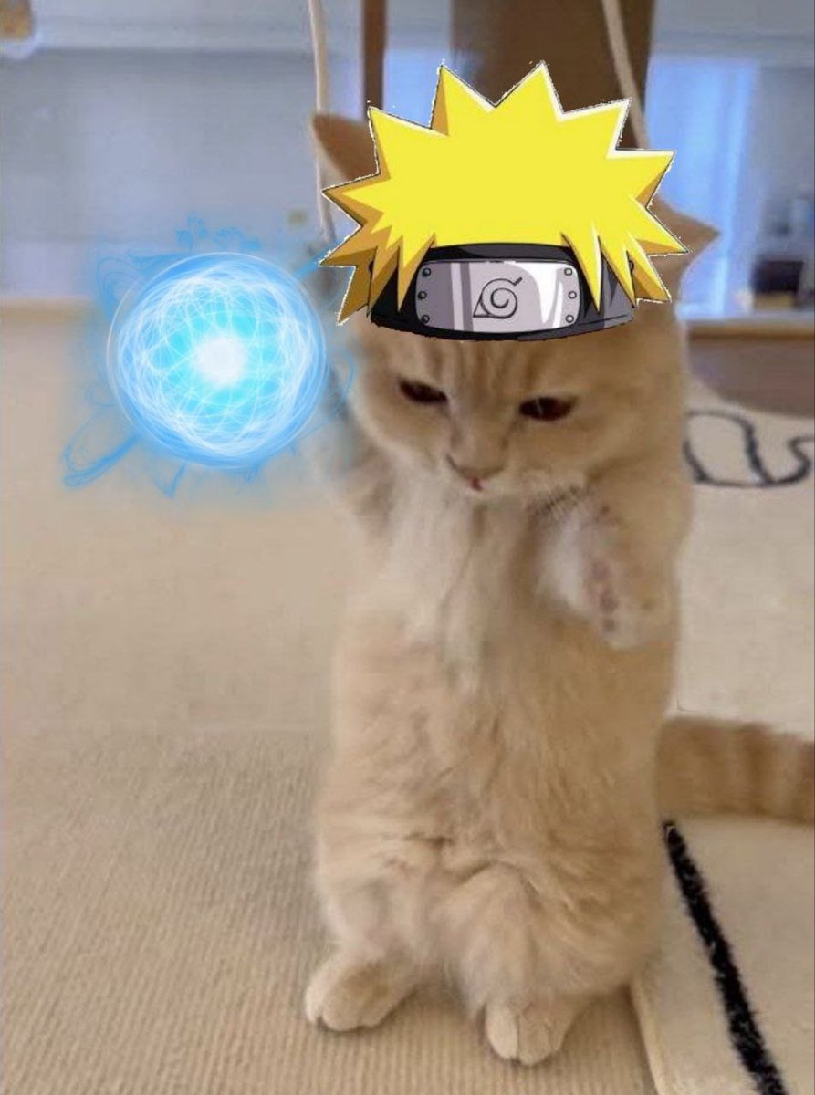 @IHunt100xGems <a href="/BlocksNThoughts/">Crypto Fundamentals</a> gm 
$KICHI
We just hit number 1 on Dex Screener, with a 3M volume and 1.6K holders.  
 
Meet $KICHI, a tiny, adorable kitten with soft, fluffy fur and bright, curious eyes. 
  
dexscreener.com/solana/7c5shnn…

CA:6N43MrHhvApBsbfC3hmHvTE1YekEyQ2FY4nzKiGnpump