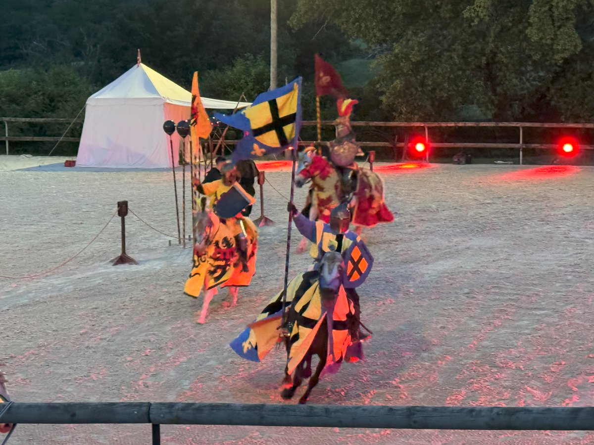 Nous avions déjà éprouvé la synergie et la complémentarité professionnelle de nos équipes #OPERAConseil et #CAPCONSULTING. Grand merci à Géraldine Bled pour nous avoir permis de partager un très bon moment convivial devant 1 magnifique spectacle équestre au #domaineduboisduprince