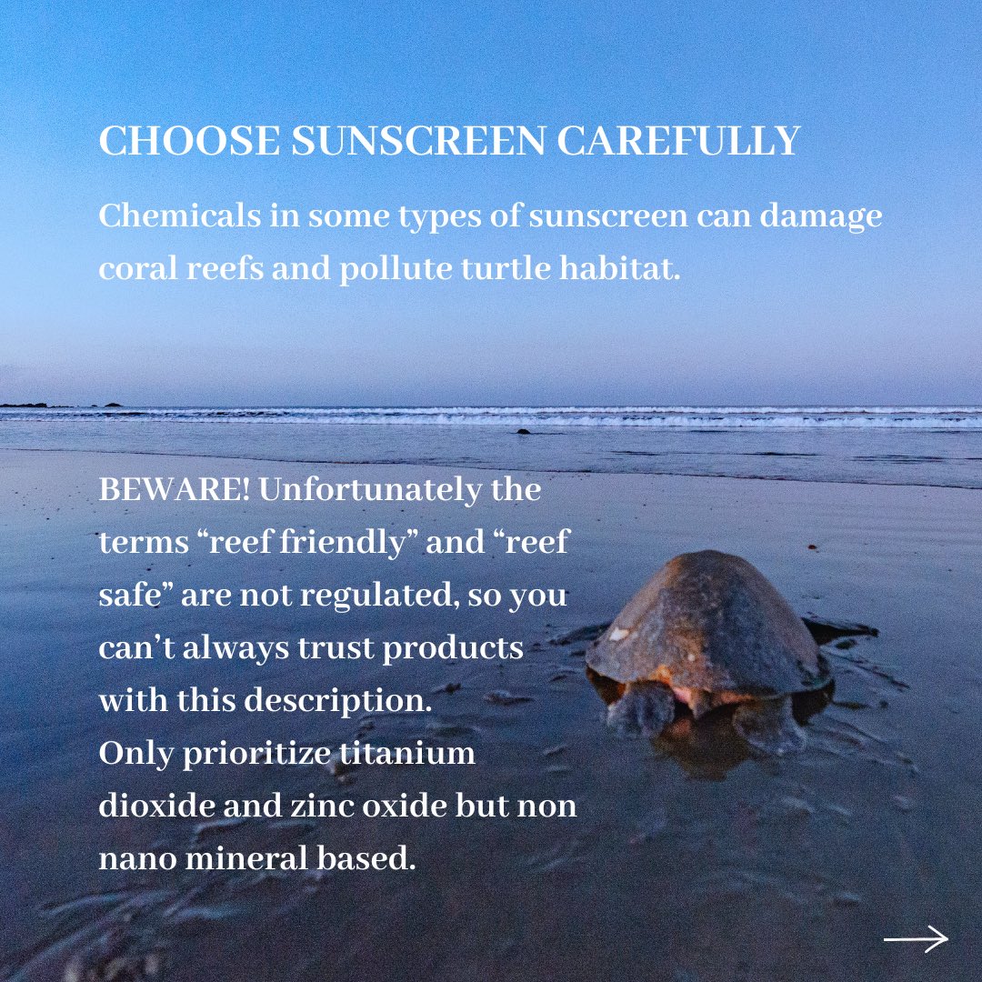 Happy #WorldSeaTurtleDay! 🐢🌊 Discover simple ways you can make a difference in the lives of sea turtles every day! Our resilient ocean friends need our support.

#SeaTurtle #Ocean #SaveTheOcean
#OceanConservation #ClimateChange #GlobalWarming
#SaveTheTurtles #OceanLover