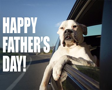 FTCarsonPD's tweet image. 