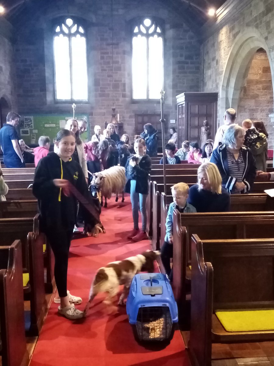 Cindy Rigney 🏳️‍🌈🏳️‍⚧️✝️ tweet media