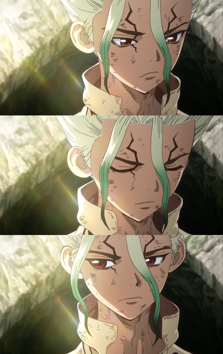 hourly senku (@hourlysenku) on Twitter photo 